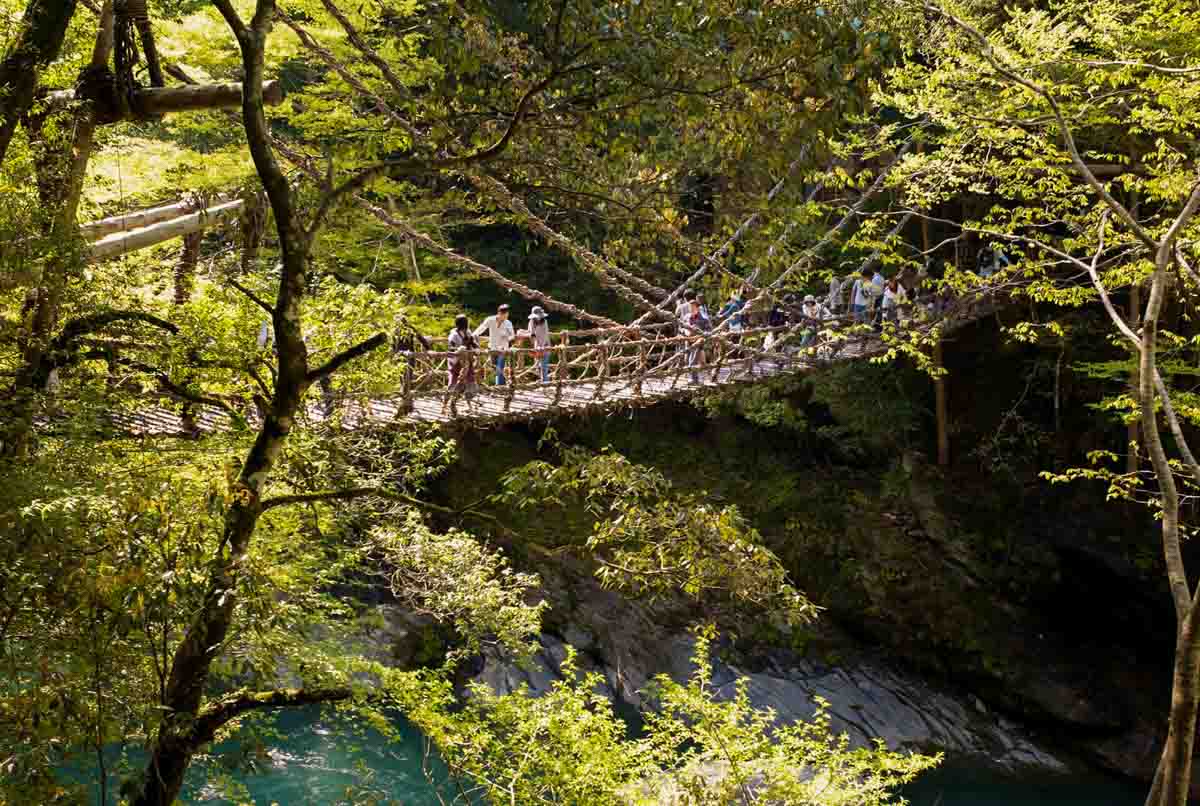 Iya Kazurabashi Vine Bridge - Unique Experiences in Shikoku Japan