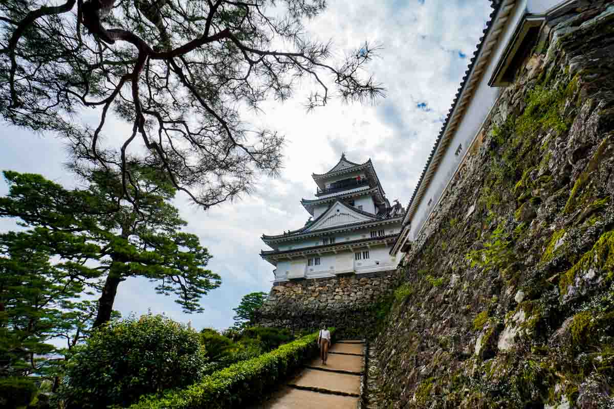Kochi Castle - Things to do in Kochi Japan