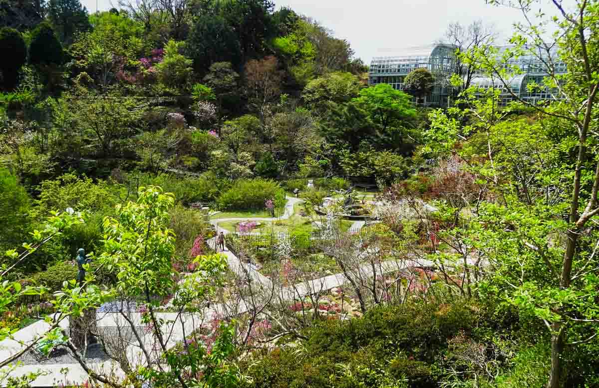 Makino Botanical Garden - Things to do in Kochi Japan