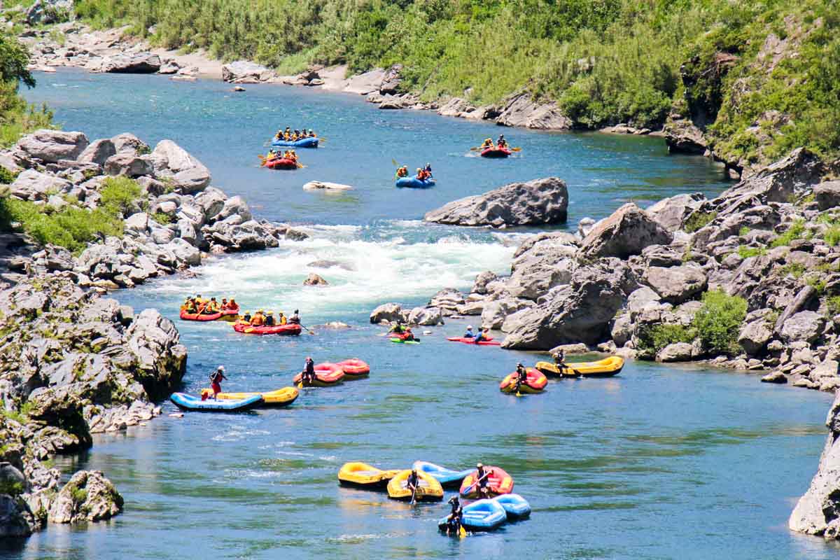 Rafting in Kochi Yoshino River with HappyRaft - Things to do in Kochi