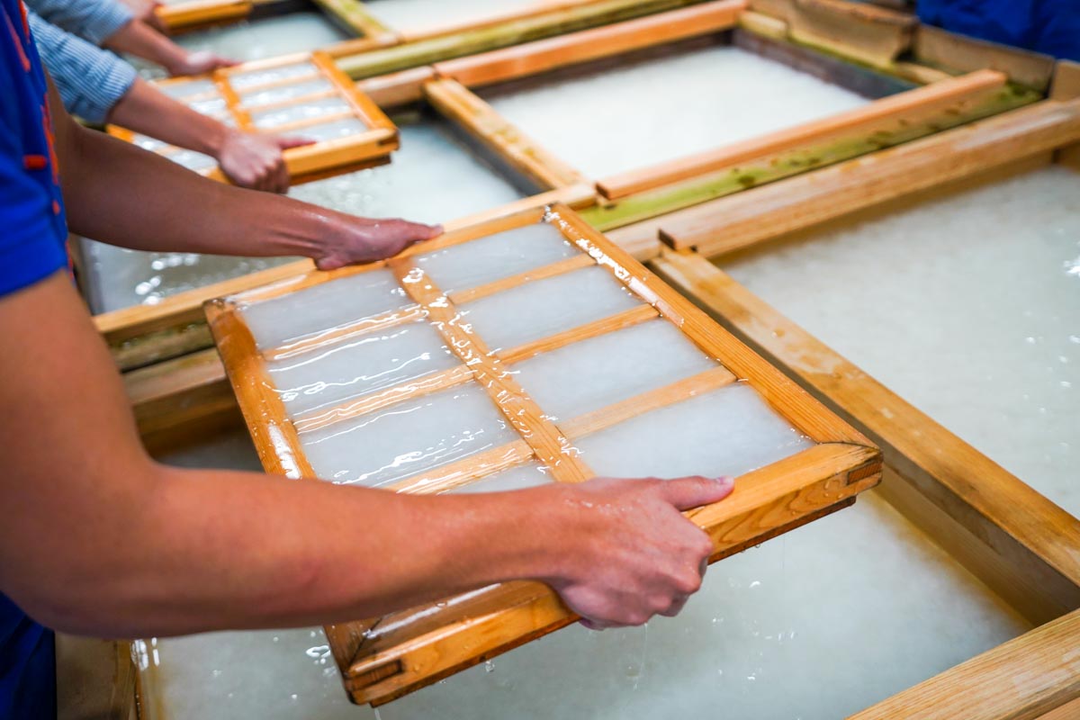 Tosa Washi Paper-making Workshop Experience - Things to do in Japan