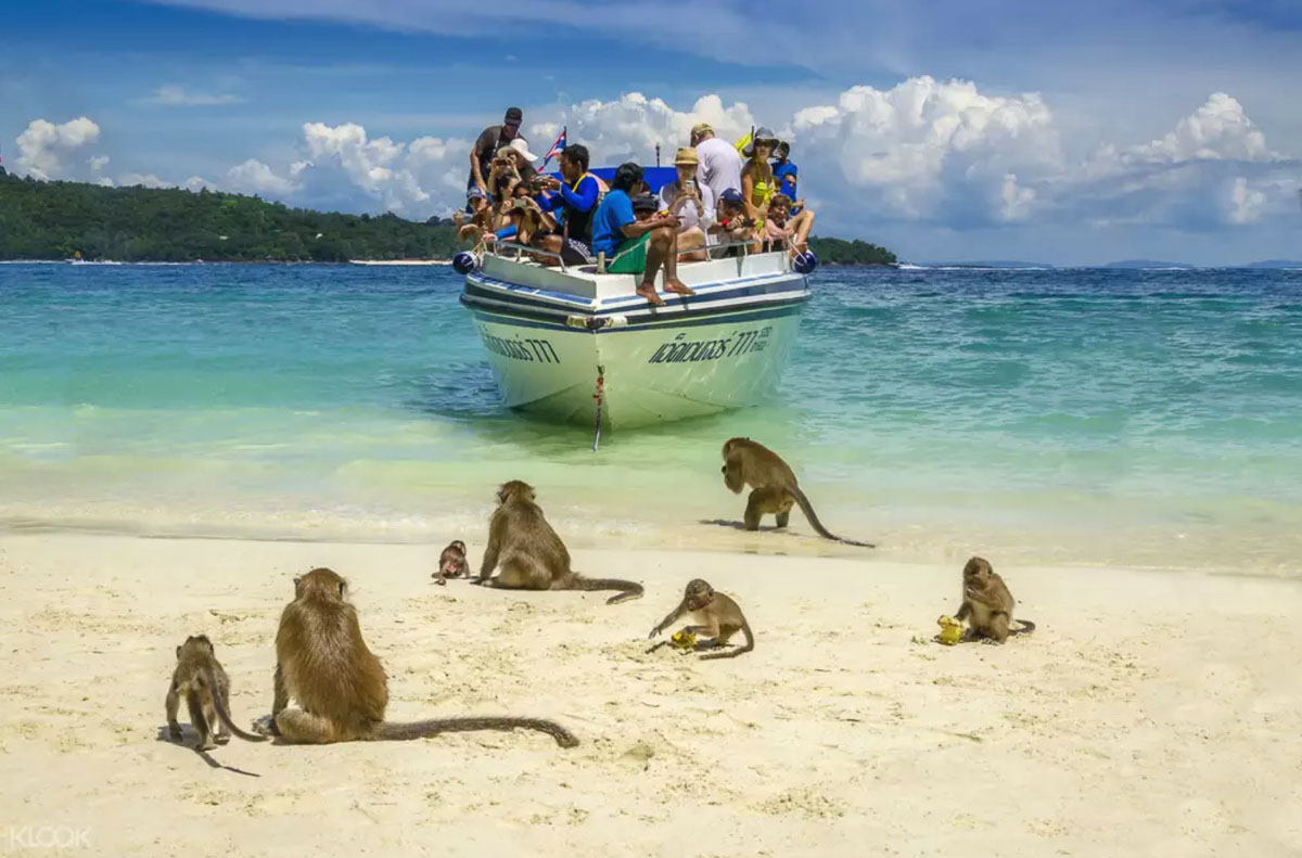 Tourists at Monkey Bay - Phuket Island Hopping _