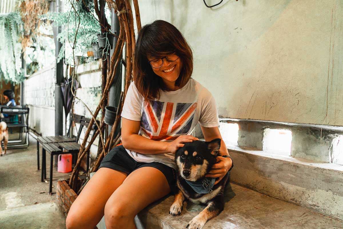 Cuddling Shiba Inu at Inu Cafe - 3D2N Hua Hin Itinerary