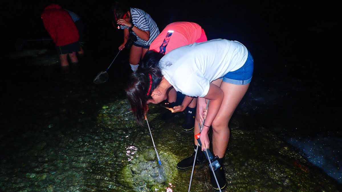 Hualien Shrimping - Things to do in Taiwan