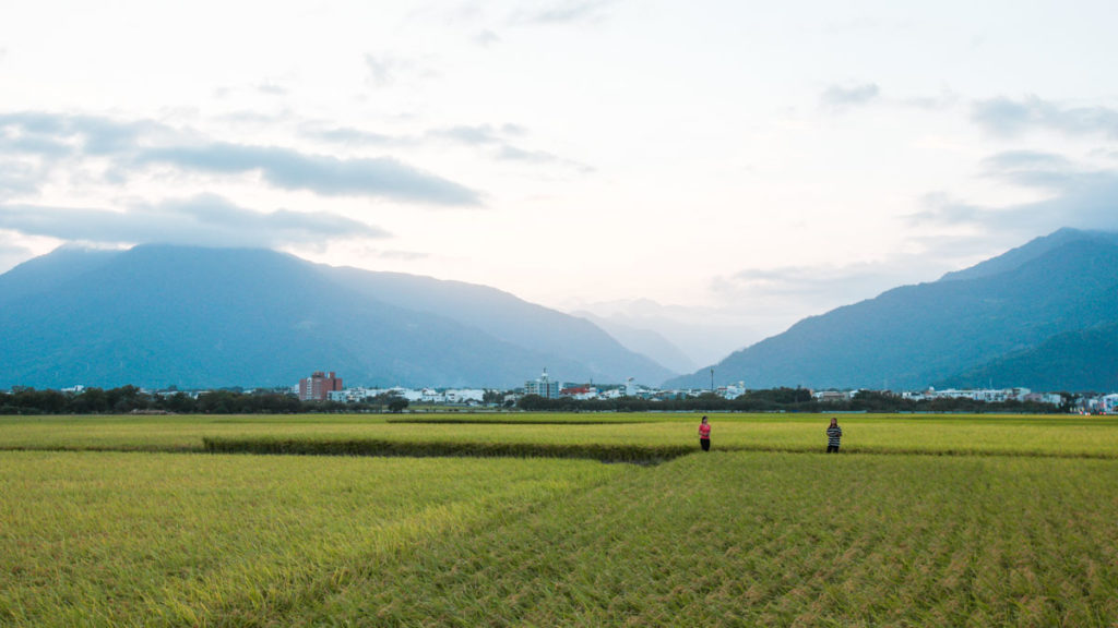 Eastern Taiwan Itinerary - Taitung brown boulevard field