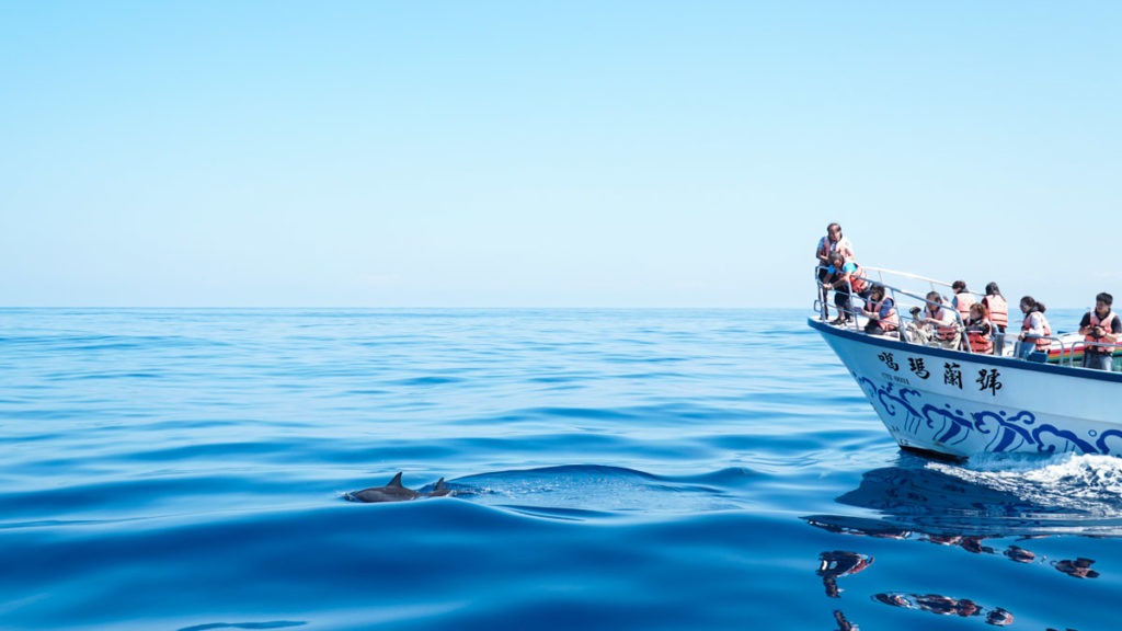 Eastern Taiwan Itinerary - Yilan turtle island dolphin-watching