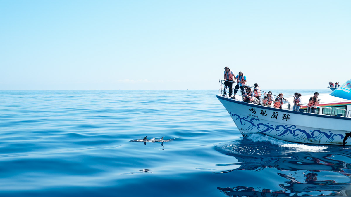 Yilan turtle island whale-watching cruise - Things to do in Taiwan
