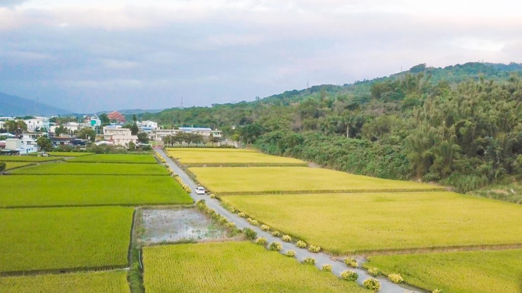 Eastern Taiwan Itinerary - taitung brown boulevard with car