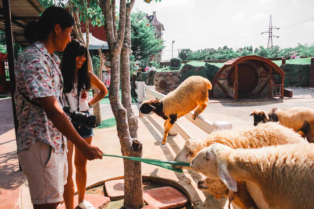 Feeding Sheep at 1000 Sook Food and Farm - 3D2N Hua Hin Itinerary