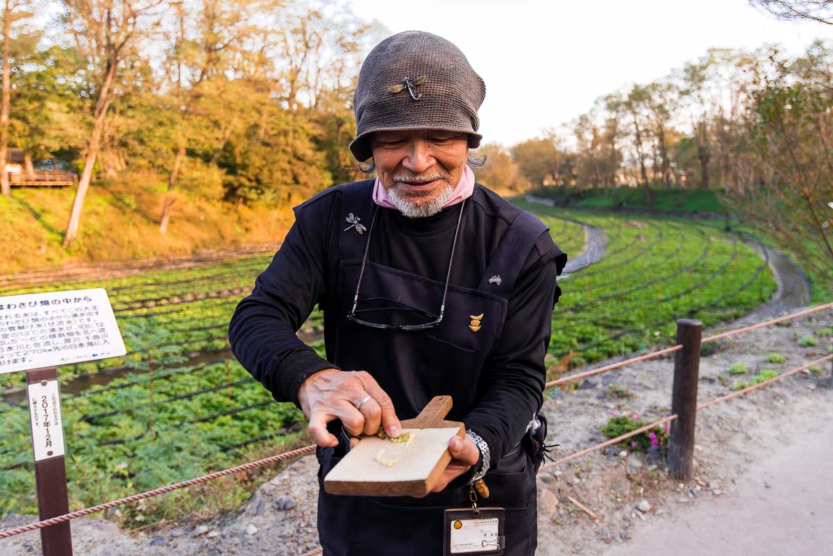 Hama San Wasabi Farm