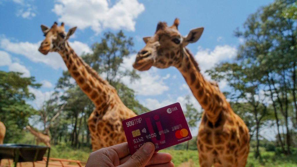 Holding Youtrip Card infront of Giraffes in Kenya---YouTrip Review Featured 2