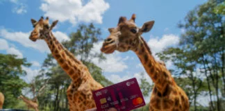Holding Youtrip Card infront of Giraffes in Kenya---YouTrip Review Featured 2