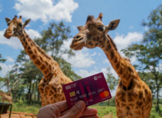 YouTrip Review: An Essential in Every Budget Travellers’ Wallet Holding Youtrip Card infront of Giraffes in Kenya---YouTrip Review Featured 2