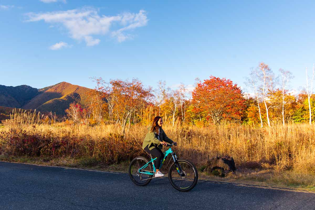 Mountain Biking Norikura