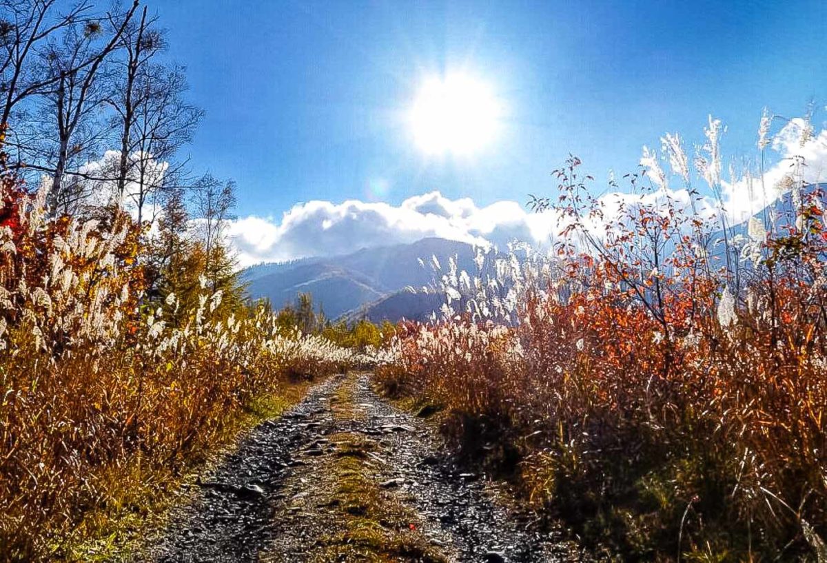 Norikura Kogen Landscape