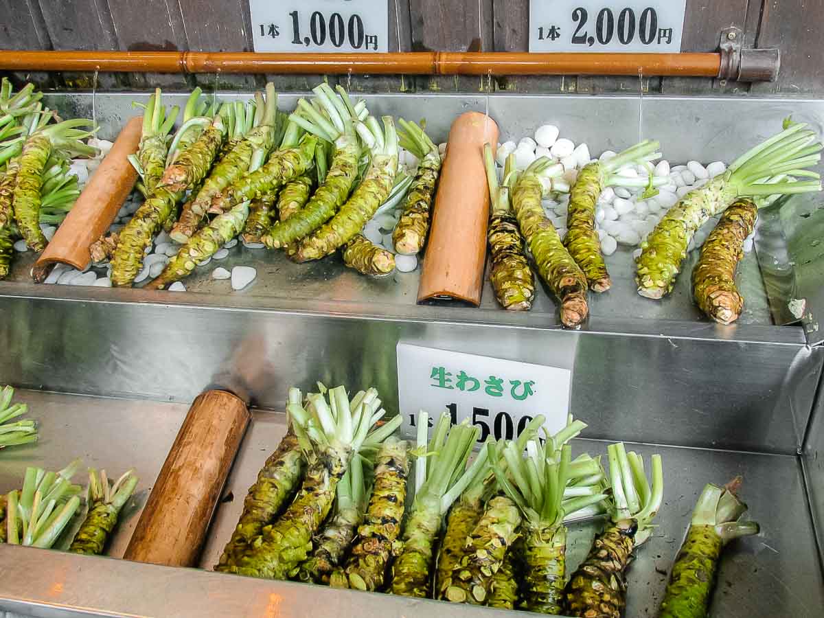 Wasabi Plant 