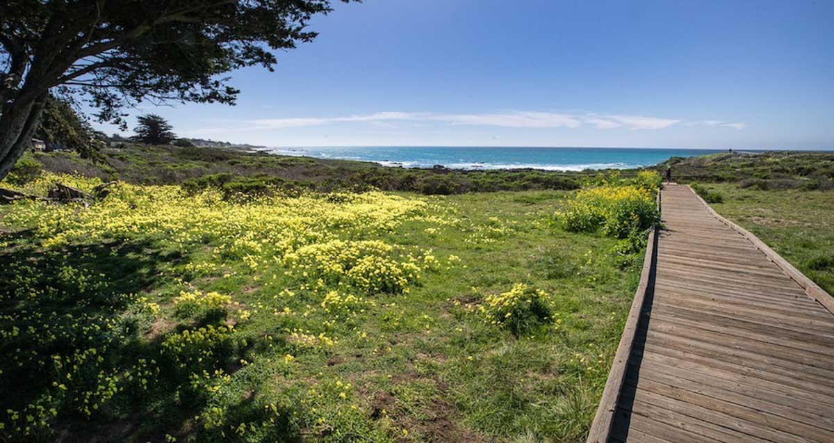 Boardwalk along Cambria Moonstone Beach - SF to LA Road Trip Itinerary