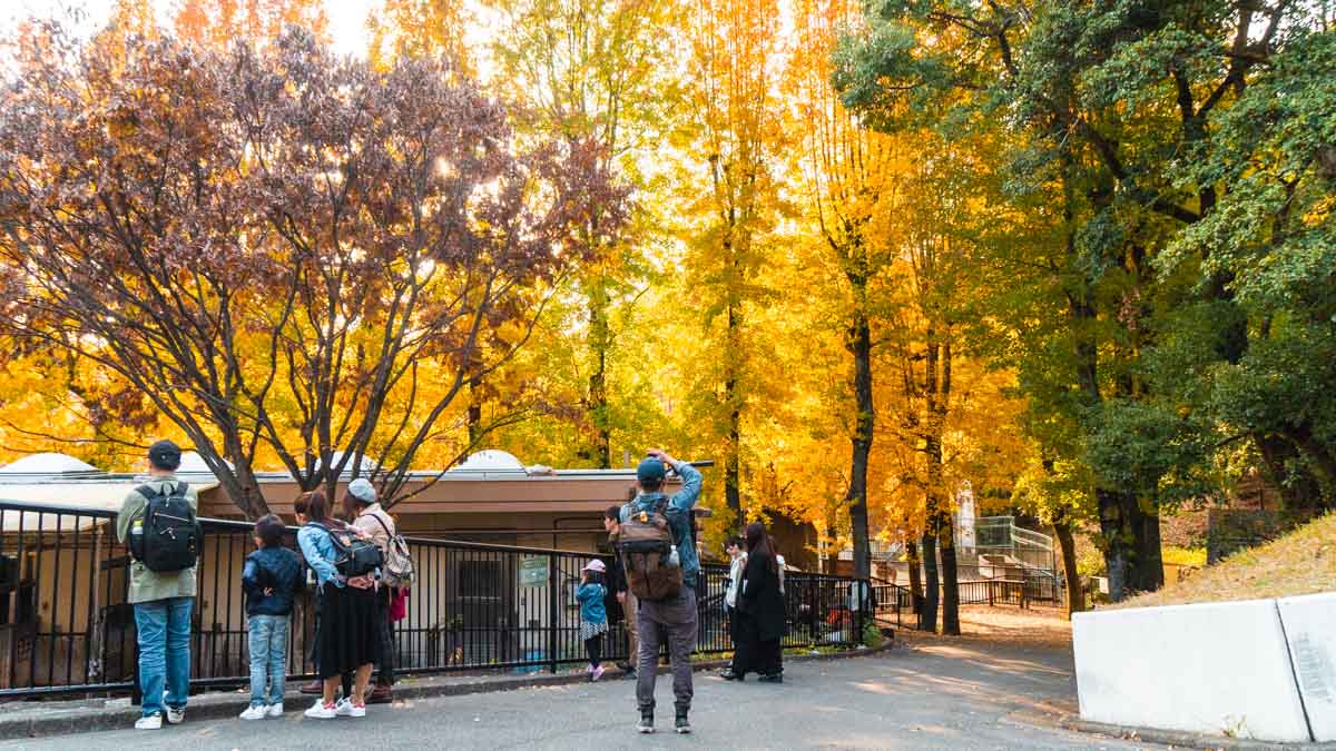 Fukuoka City Zoo in autumn - Japan Kyushu Itinerary