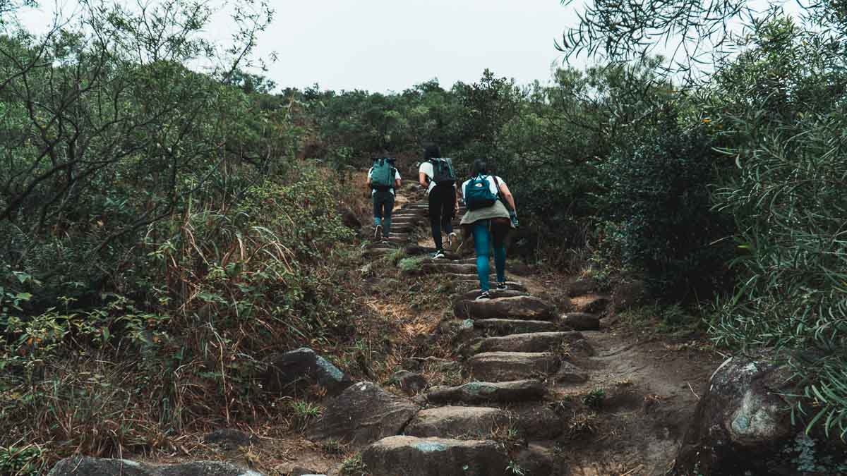 Lantau Hike Terrain - Hong Kong Itinerary