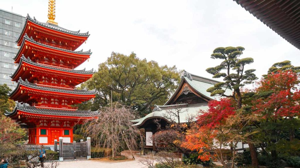 Tochoji Temple in Fukuoka - Japan Autumn foliage