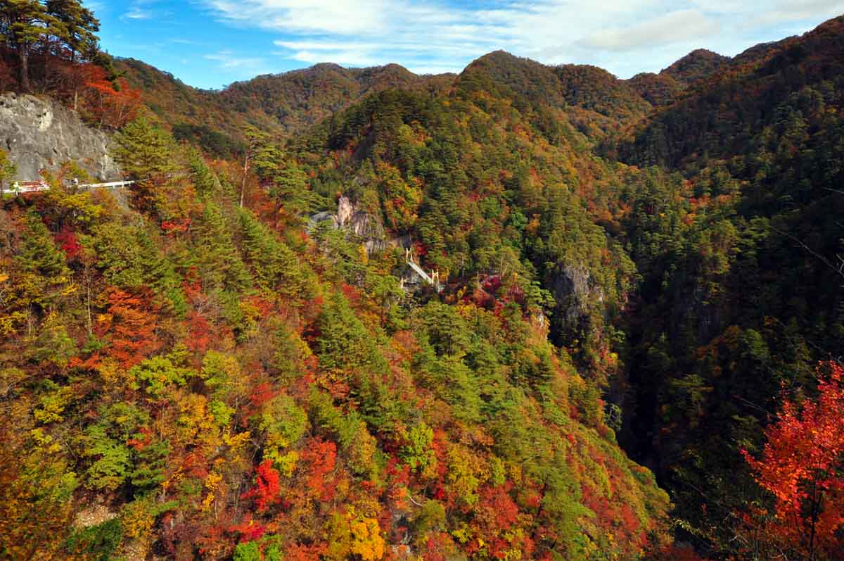 Autumn Foliage at Setoaikyo Canyon in Nikko National Park - Why Tochigi Japan Needs to Be In Your Tokyo Itinerary