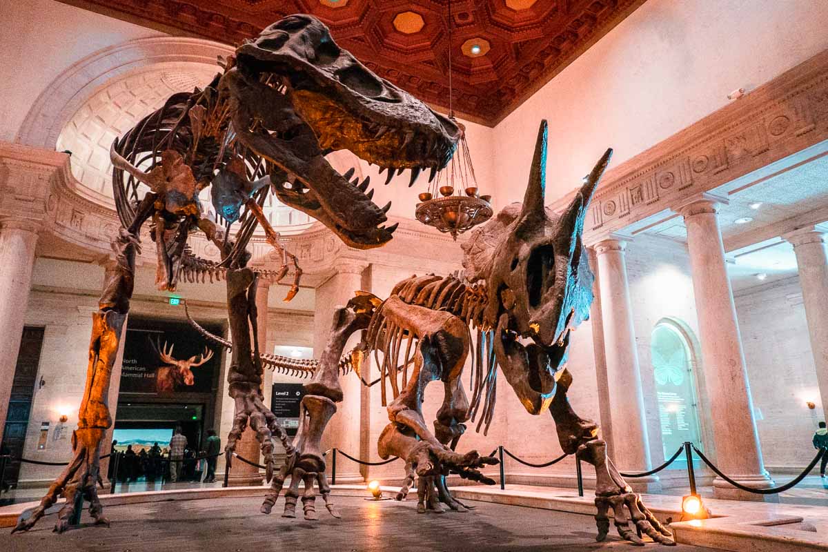 Dinosaur Skeletons at the Natural History Museum of LA - 3-Day Los Angeles Travel Guide