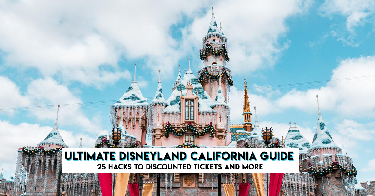 The Ultimate Disneyland California Guide For Tourists In 1 Day