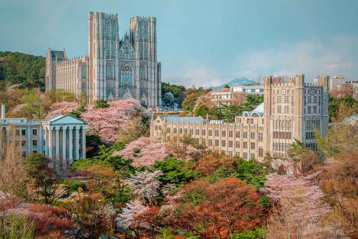 Kyunghee University Seoul in Spring - South Korea Cherry Blossom Guide 2019