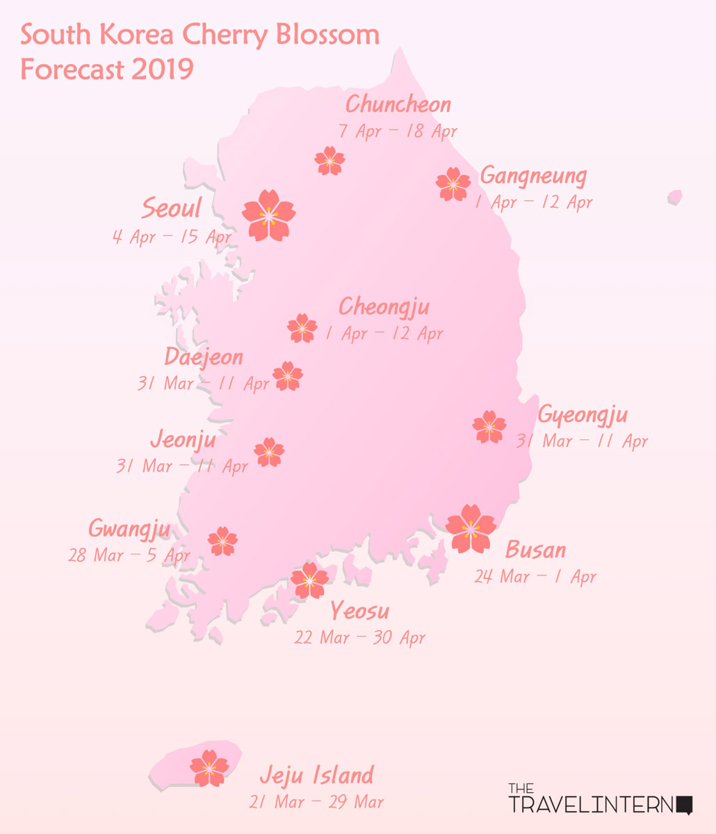 Cherry Blossoms Maps