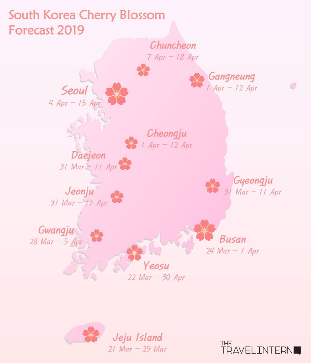 Cherry Blossom Chart