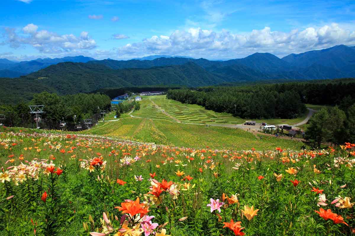 Nature Trails at Nasu-Shiobara - Why Tochigi Japan Needs to Be In Your Tokyo Itinerary