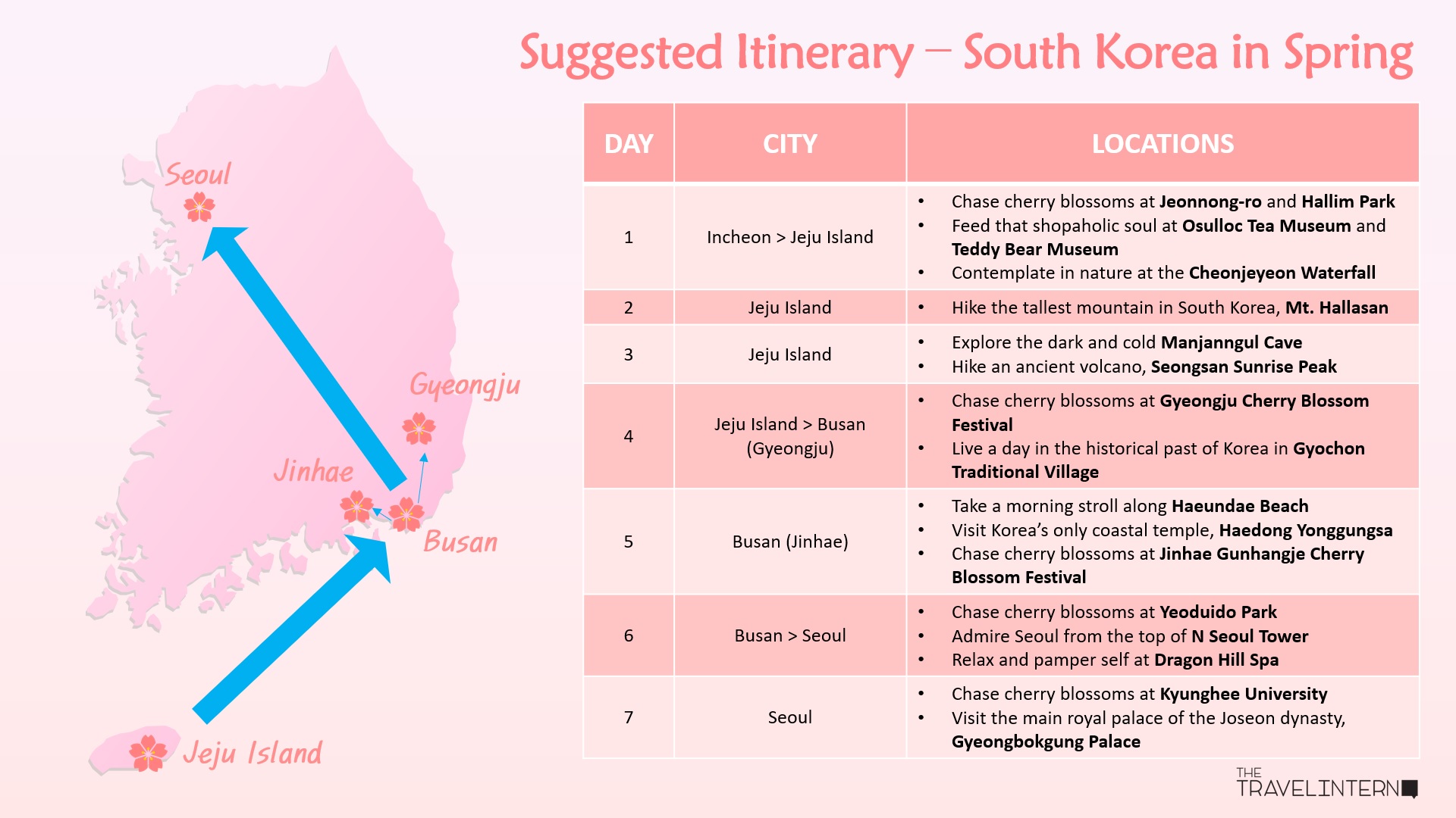 Suggested Itinerary Spring in Korea - south korea cherry blossoms 2019