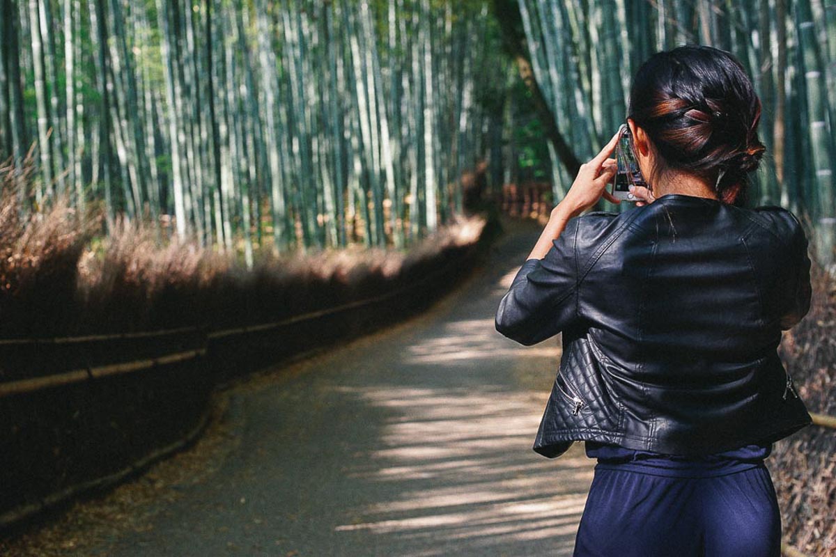 Taking Photos of Japanese Bamboo - SSEAYP Youth Exchange