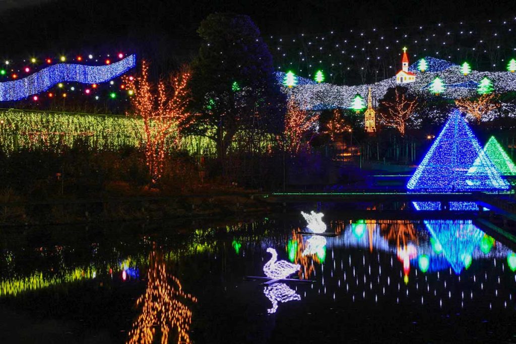 Winter Illumination Display at Ashikaga Flower Park - Why Tochigi Japan Needs to Be In Your Tokyo Itinerary