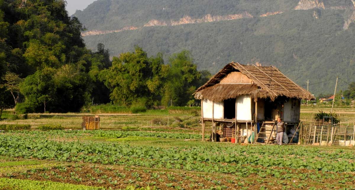 Mai Chau traditional house —-Halong-Bay-Ninh-Binh-Trang-An-Cat-Ba-Island-Mai-Chau-Perfume-Pagoda-and-Sapa