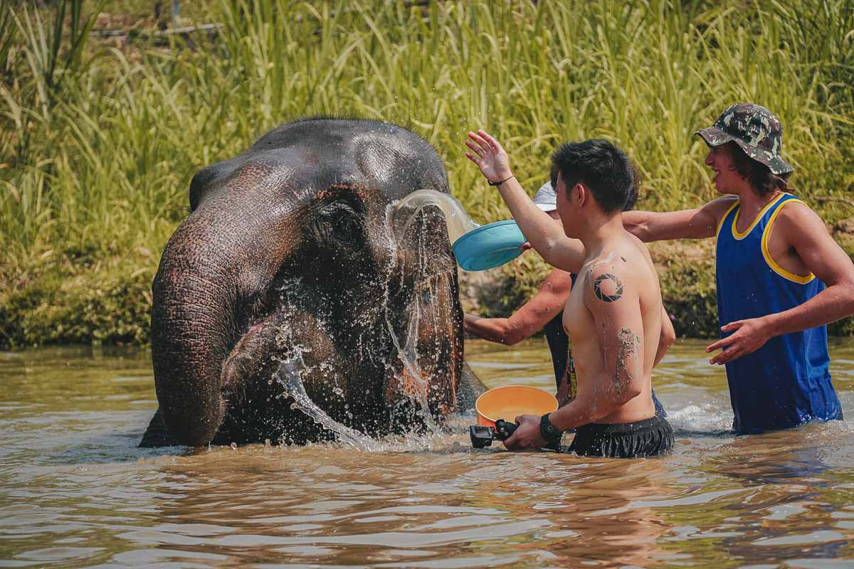 Elephant Bathing at Elephant Retirement Park - Chiang Mai Itinerary