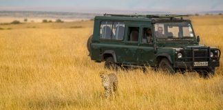Featured - Kenya Safari Itinerary