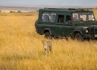 Featured - Kenya Safari Itinerary