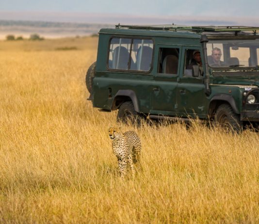 Featured - Kenya Safari Itinerary