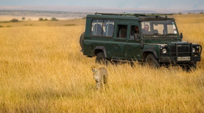 Featured - Kenya Safari Itinerary