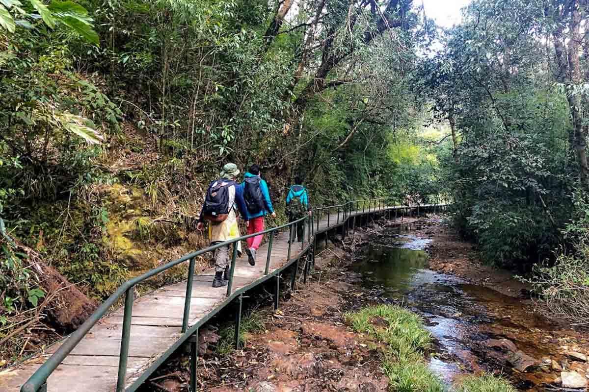 Hiking through Fansipan Boardwalk - Things to do in Sapa