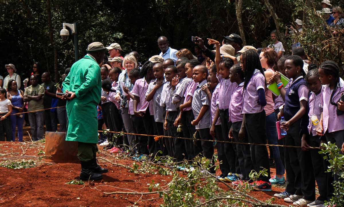 Keeper talking to students at David Sheldrick Elephant & Rhino Orphanage - Kenya Safari Itinerary