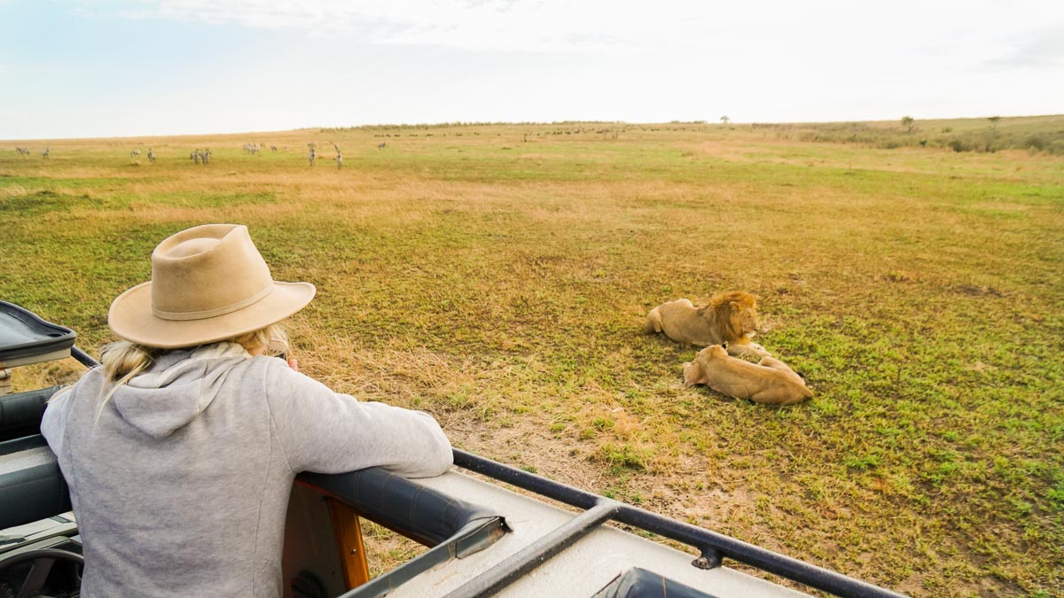 Looking at Lions at Maasai Mara National Park - Kenya Safari Itinerary