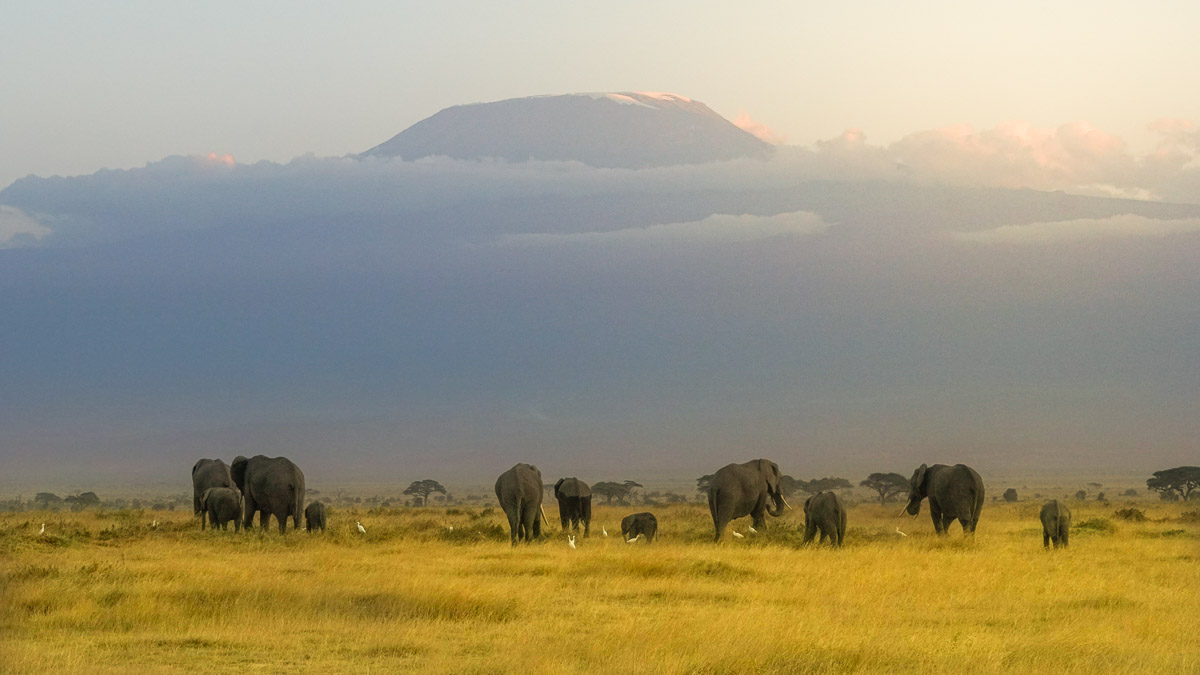 Mount Kilimanjaro Amboseli National Park - Kenya Safari Itinerary