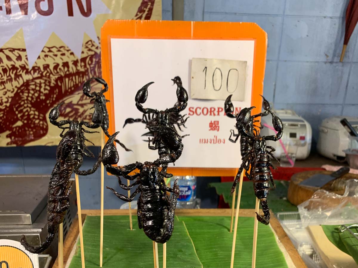 Scorpions on sticks - Chiang Mai Itinerary