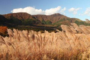 Top 10 Places You Should Visit in Hakone — A Scenic Retreat From Tokyo ...