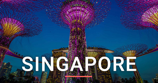 Singapore_Destination-Guides_Cover