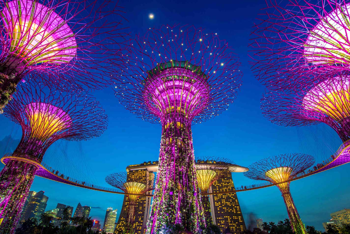 The Singapore Growth Trap Behind the Artificial Intelligence Mirage