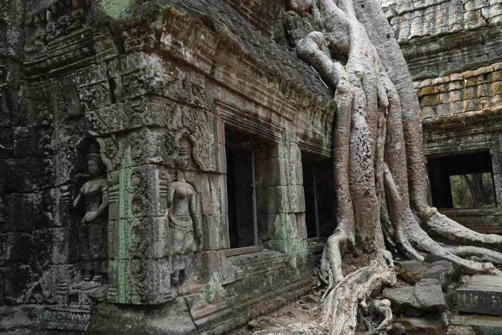 Ta Prohm Temple - Southeast Asia Travel Guide