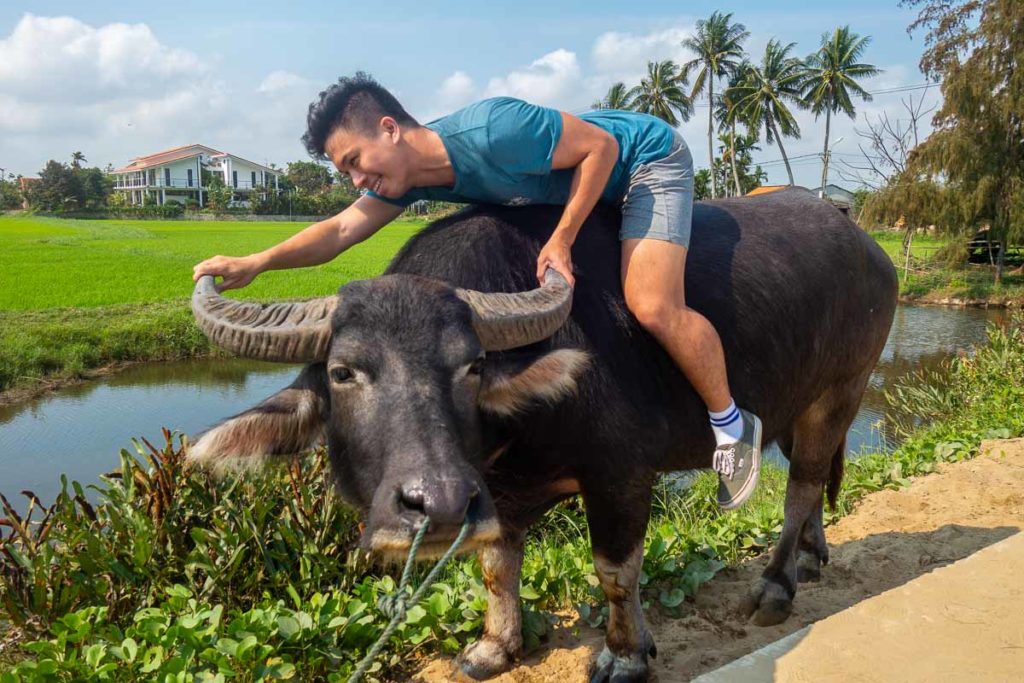 Riding a Buffalo in Hoi An's Coconut Forest - Affordable Getaways from Singapore